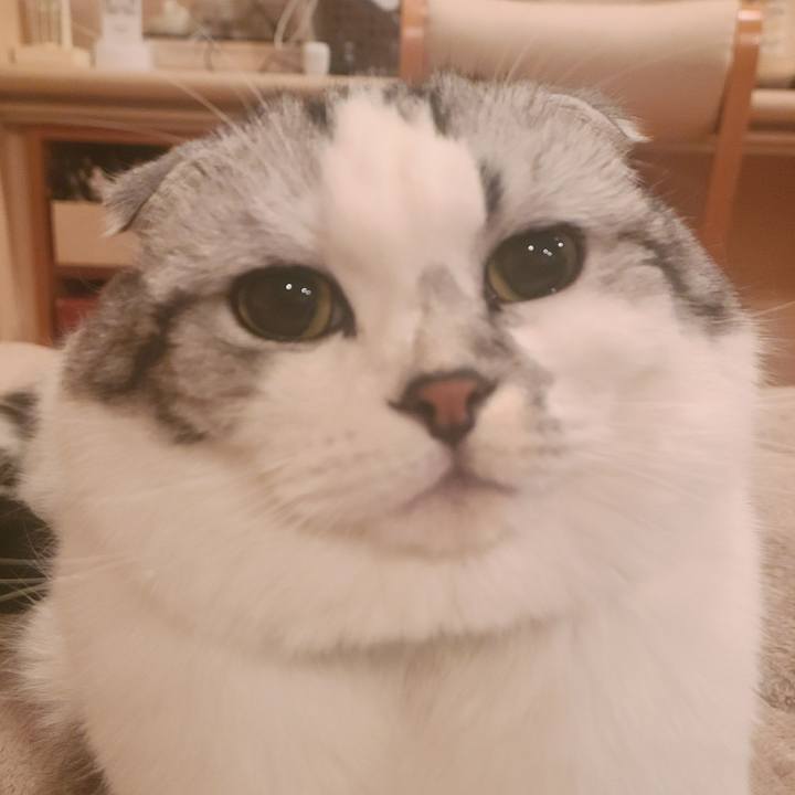 D7f3e4c7 60eb 4040 91b4 2a8889dab65f 1678147023696