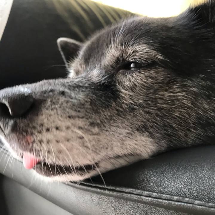 D7f3e709 db2e 4938 9825 944f5a4a9e5d 1566867781561