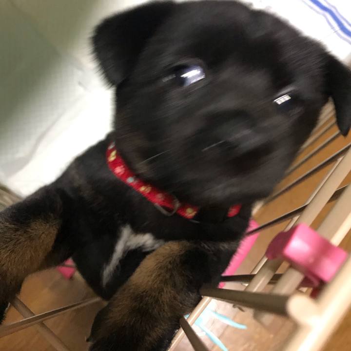 D7f4107f f319 49f1 a448 92f0c275a45c 1567169053153