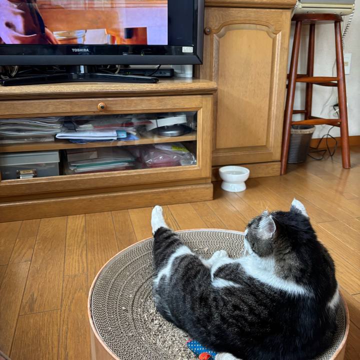 D7f4167f 0d92 437a a1b9 ed6d368dd73e 1745572281032