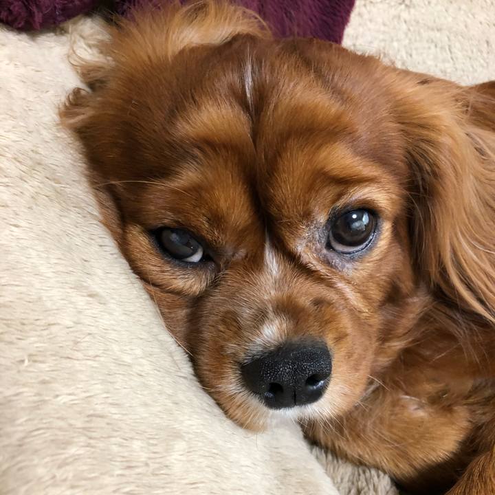 D7f44916 8ea6 4eae 92e3 7d2bd6d687c1 1580166191273