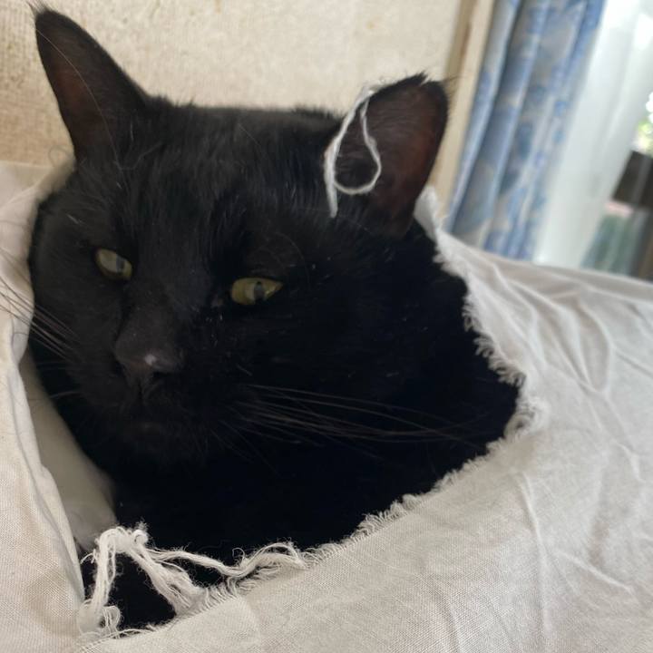 D7f48f8f 56fd 49d9 a1c7 f377af0a45e1 1638177633635