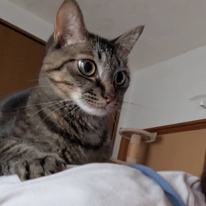 D7f4b86f 1938 43ca 9a2f df88356deed2 1759997060799