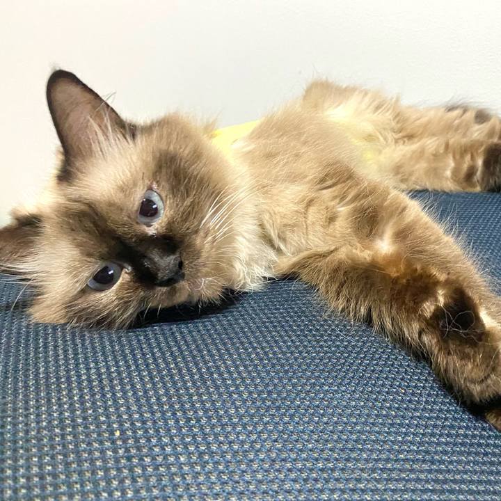 D7f4ba40 4cdf 4c18 9243 3f2681ad9855 1694906625961