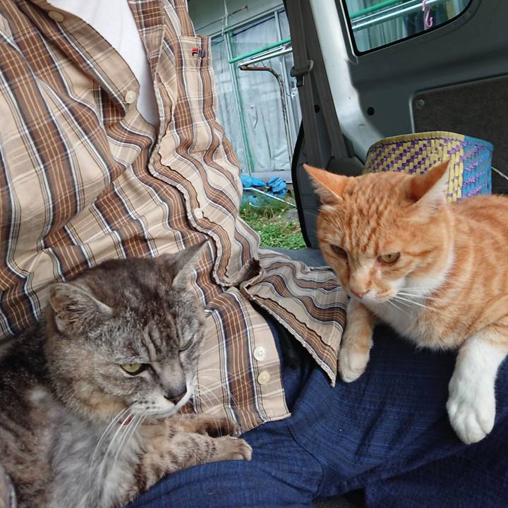 D7f4d43b 9792 4e88 94e7 722556596e6e 1592944987677