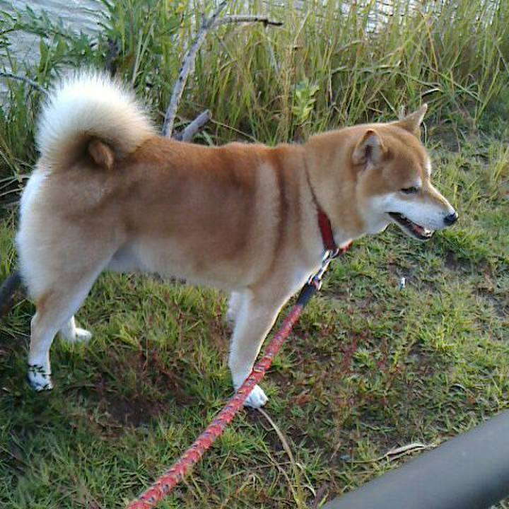 D7f55605 1ab3 4114 993b 93d4cfaeb910 1509447046011