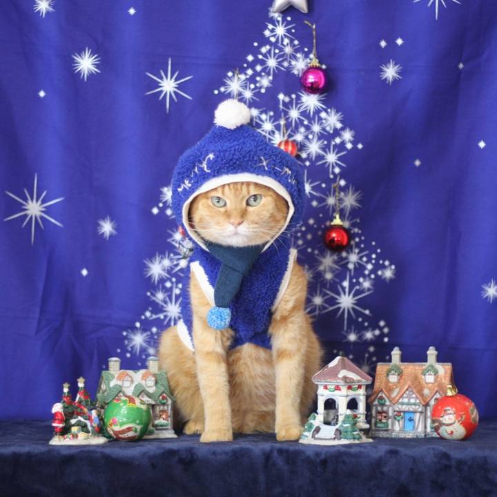 D7f5a4f7 9ac3 4025 8222 2e39c38f5c24 1639970805889