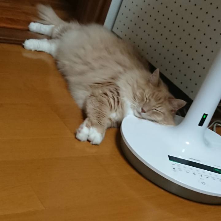 D7f5abdb b11a 4fc3 8706 448484c364fe 1565314268549