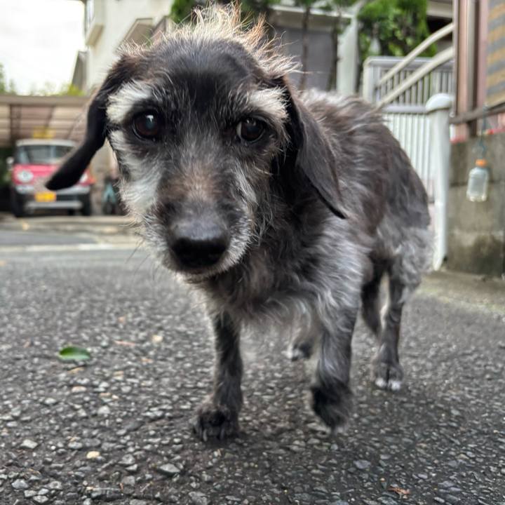 D7f5d261 1328 4bab a288 d80098133a99 1761952806313