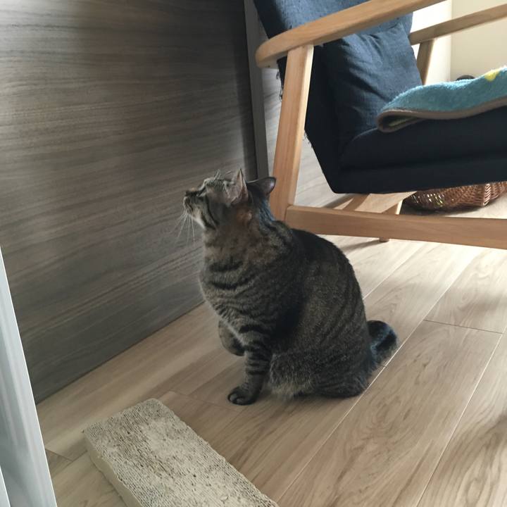 D7f5eec4 2300 4243 8651 ea0ab93a9d67 1585527997694