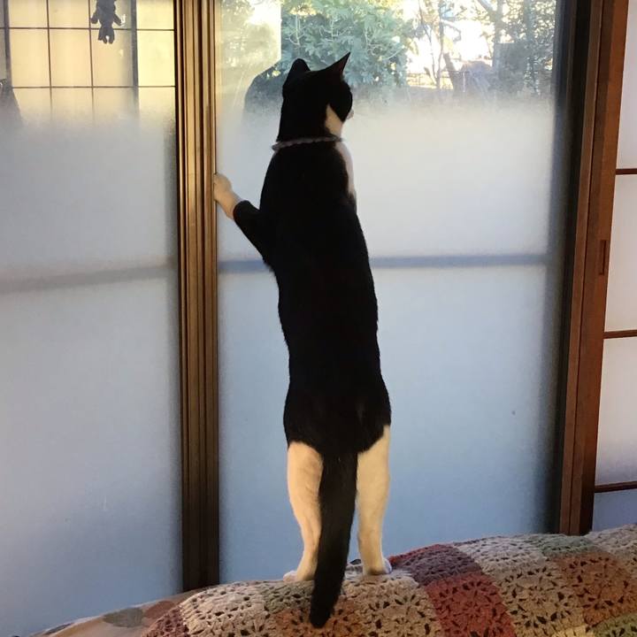 D7f60e99 6533 4082 a28e 6e7c575b8029 1642753005745