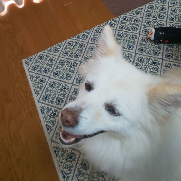 D7f61382 8b84 4678 9747 400e9f4dcda8 1759038969691