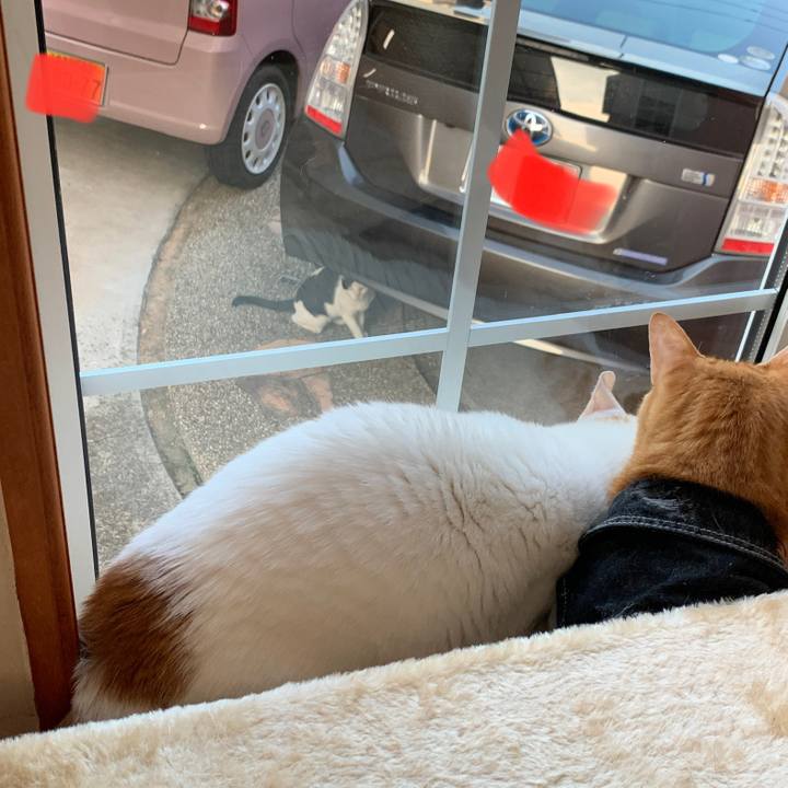 D7f61c87 ab0a 4b36 b9ba 1dbc0eb492ec 1661830665245