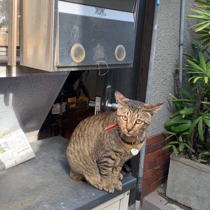 D7f62dbd daee 4e04 95f6 45fdba9cebd2 1578233392607