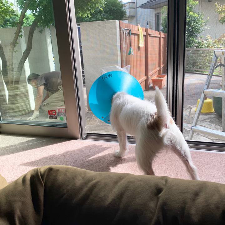 D7f62f8d d11e 4dbf a2d3 af906ee3c5cc 1569130654171