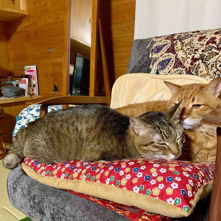 D7f6310f 9da5 4434 8737 84df7704c7dc 1608202337303