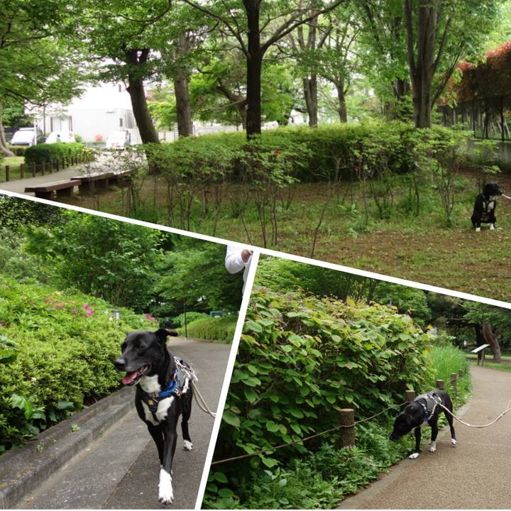 D7f648ec 970c 4728 8b5e 92ba7e669e0c 1651195158932