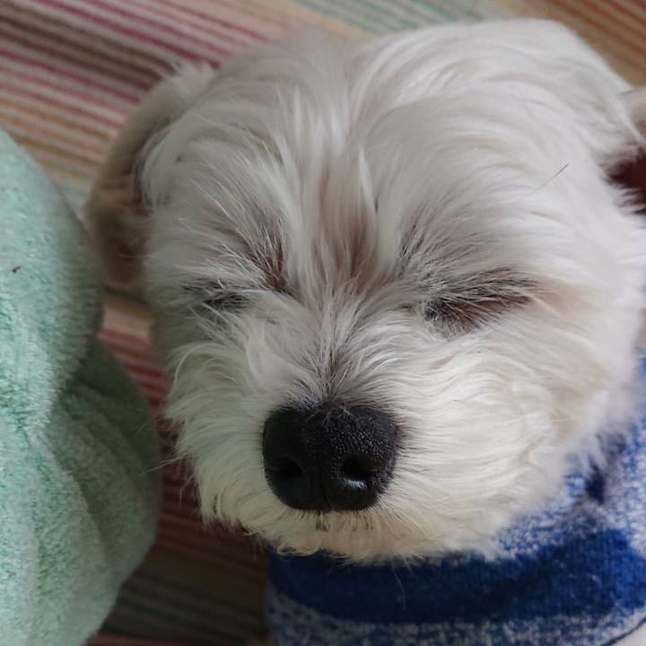 D7f65a11 1ec8 43c9 a6cd a3322b6ca2d3 1590144647683