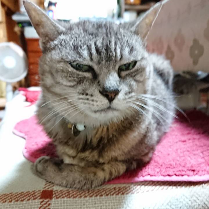 D7f6a650 f3c0 446d 9af7 ffd1b00a99b2 1567160329166