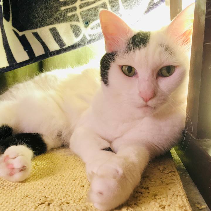 D7f6c417 9e80 40a5 b6a9 b6484601f20e 1597730280203