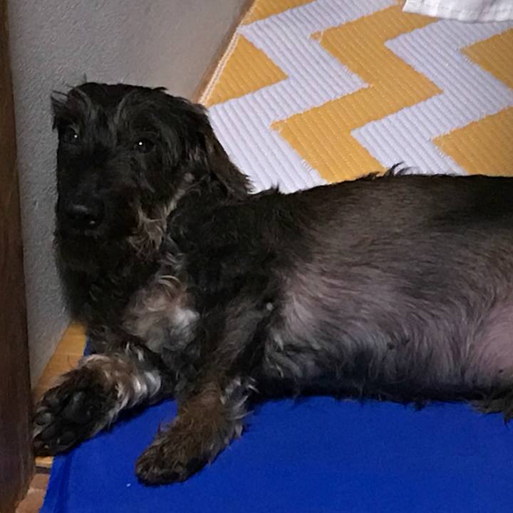 D7f6d4ed 47fe 4bcf 9568 afcd91f3996d 1532685993496