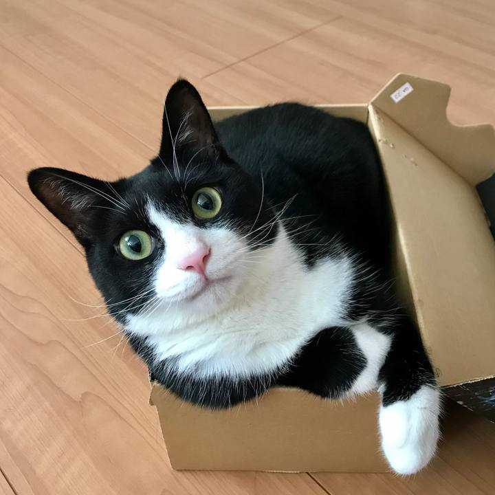 D7f706df 84c2 4b55 a632 ad0e105f9dfe 1533431166339