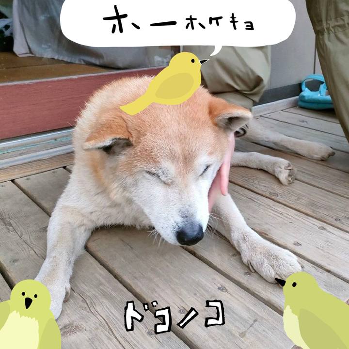 D7f72881 8574 4673 8642 bc733e433580 1711321518160