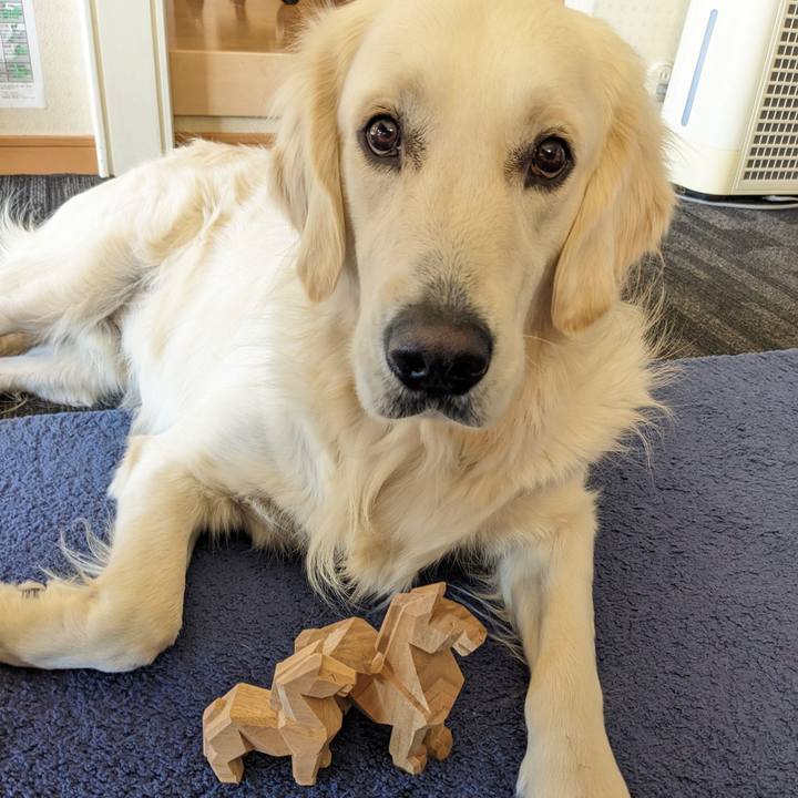 D7f7366b d83d 44e5 9678 16e677091eae 1767400136705