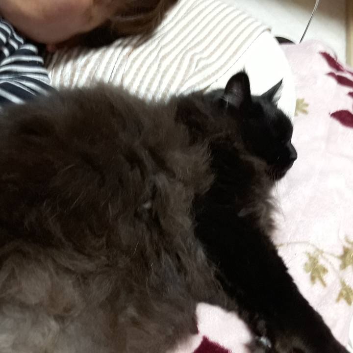 D7f751c0 4fc5 4d45 ae06 9fc3d8cc925a 1521896977720