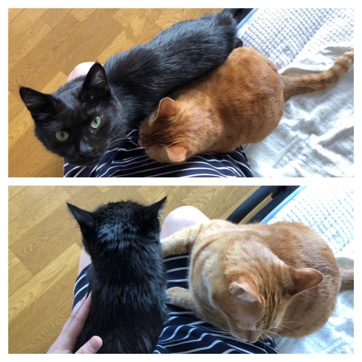 D7f7671f 7705 40aa a37a 482cbaa11677 1590188803292