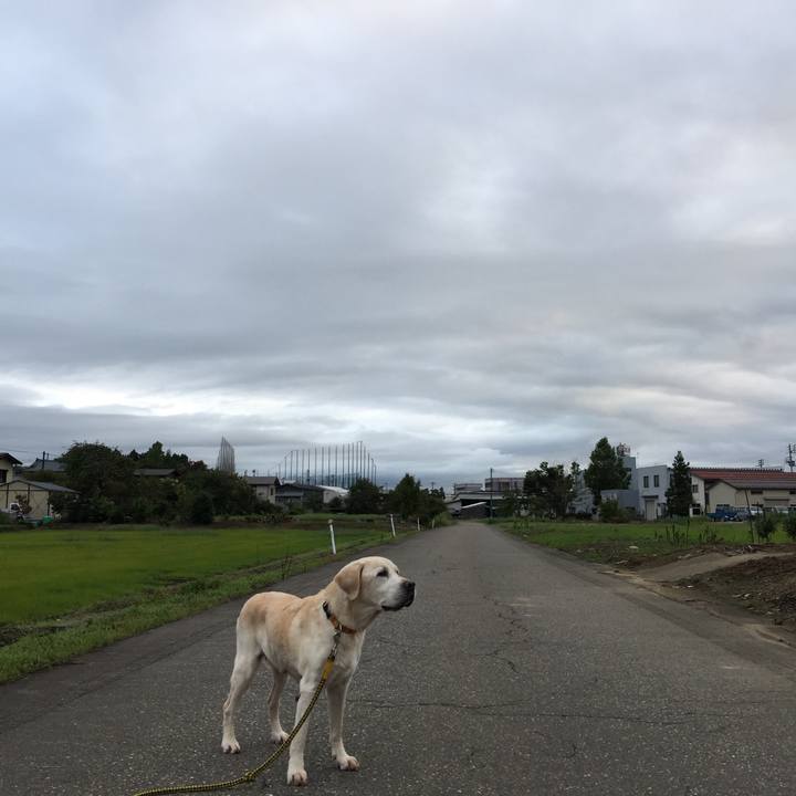 D7f76c47 65ef 4c32 803c 65a0b2b583c8 1537049886188