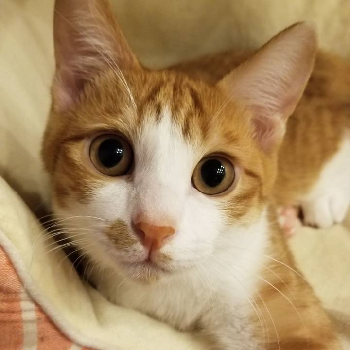 D7f76db1 e060 4e99 b7dd 6e63538853d9 1510133916655