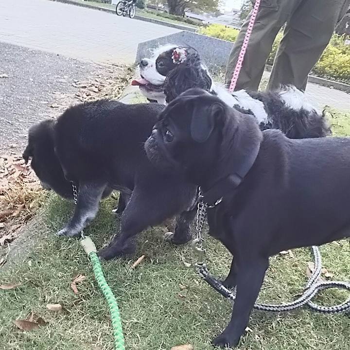 D7f78950 8b21 4f30 9a00 de2e2953945d 1540020245829