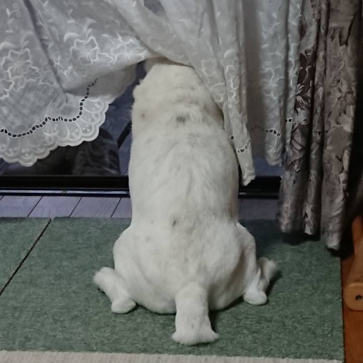 D7f795fe 5fe4 4cf5 be7f 5935a084bc2a 1593475593764