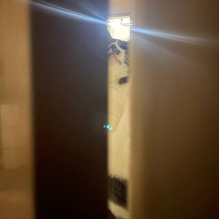 D7f7b6bc b94e 4cbe a78a f8486b45e98b 1727447670549