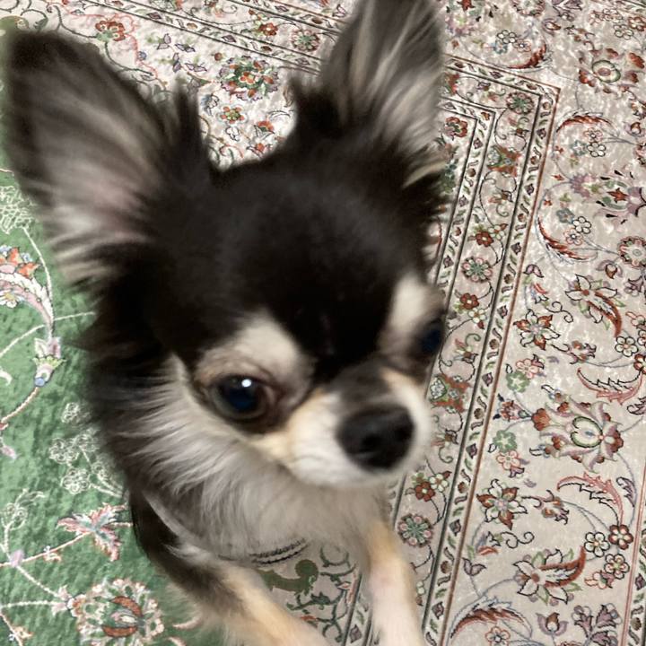 D7f7e6bb 5e0c 4a58 a817 9e6c3f7ec37a 1653745563857