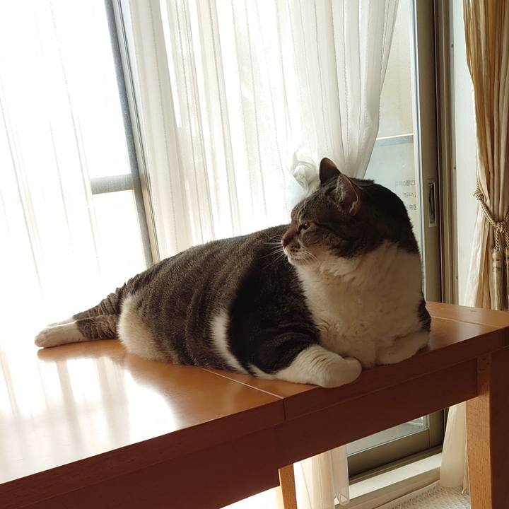 D7f7e847 a6b8 4939 888a 44b9747d3725 1603332598476