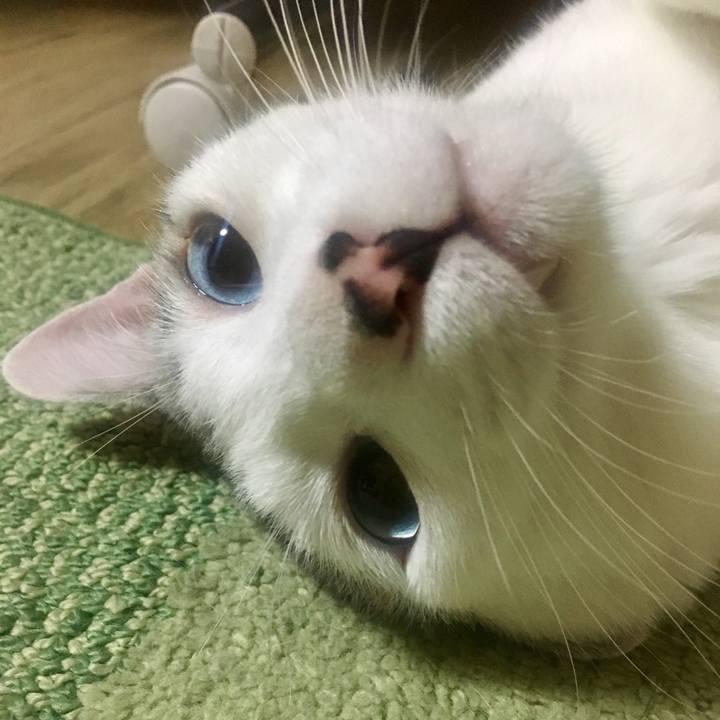 D7f83e8c 903d 4e64 a34a b2897b949d8e 1565782626627