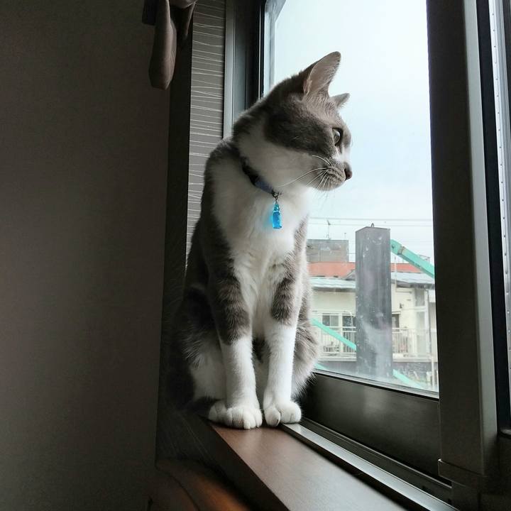 D7f8499a 7f5d 47b2 8f95 67cc44786656 1617588331977