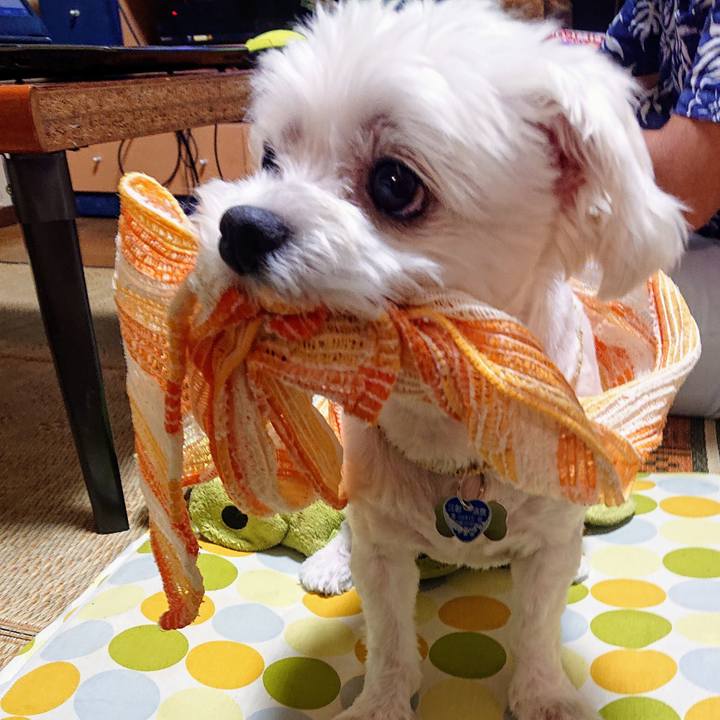 D7f84dc2 d78e 427e 8b24 56765edf68b2 1532948790991