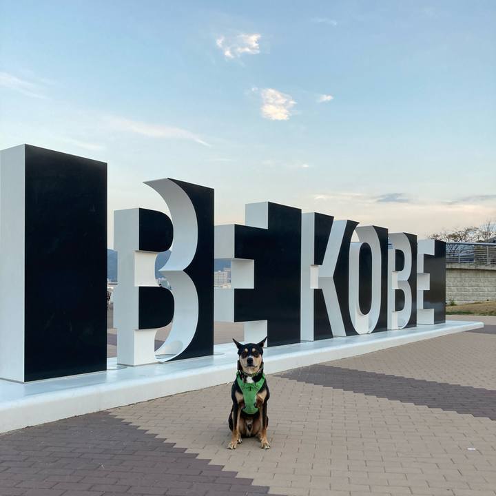 D7f8782a c555 48b1 8af4 216b3c88e67e 1607822731394