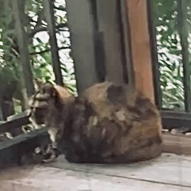 D7f878a1 6166 4039 8220 b67f11d26b6a 1732008413135