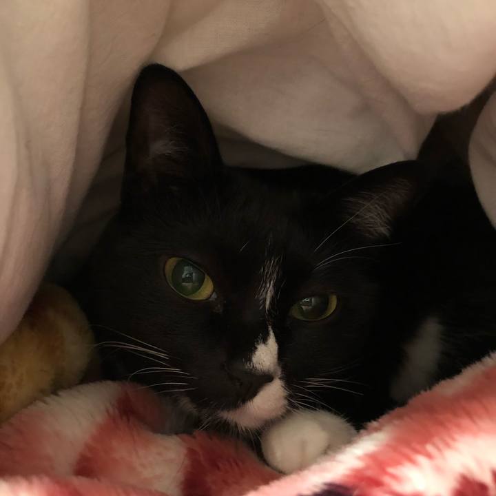 D7f8a7a5 b59f 400b a00b 256822ea5fdb 1512804216078