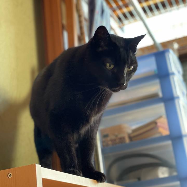 D7f98795 0eae 4303 b1dc 561bbe2d1f0a 1641089096357