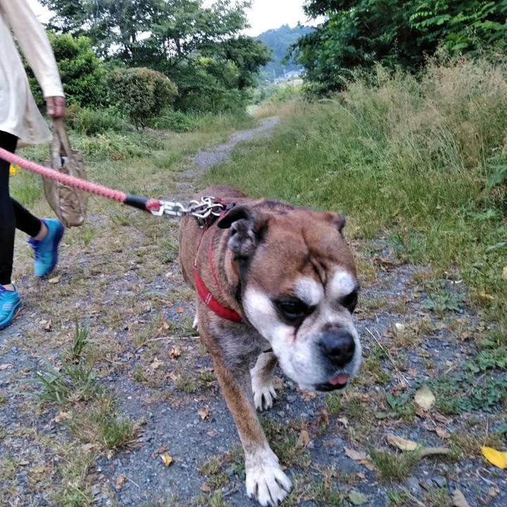 D7f98b5e d069 4080 bd34 f0e8b7757dc4 1559485519039