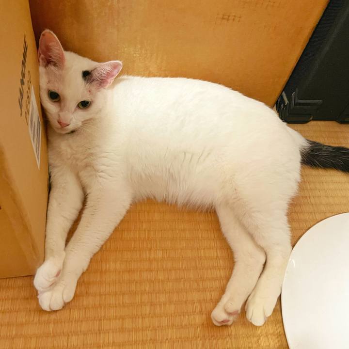 D7f9b0e6 17a0 46e8 bcfc 64a7358bdd5e 1756617795096