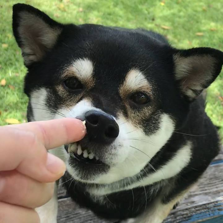 D7f9b1be 8a3c 4d85 88fa 3663a4b9320a 1532053889104