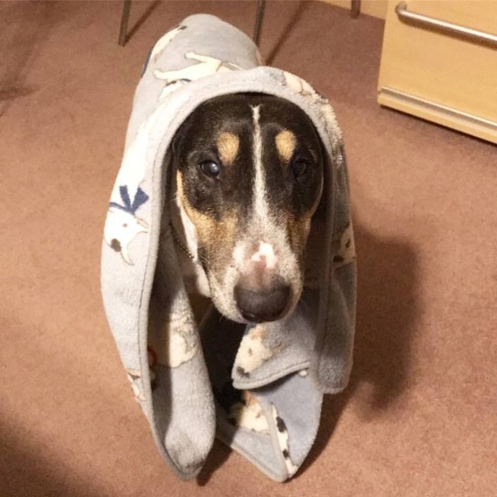 D7f9b3d2 312c 40fe a9c8 df1fe8a9d0d3 1510994940046