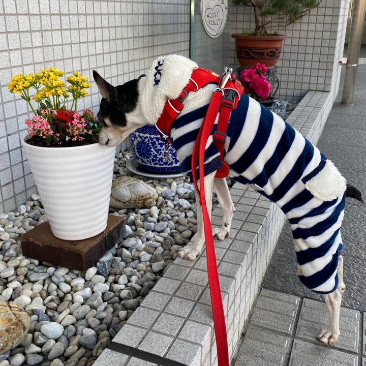 D7f9d228 48d4 494f 83b8 d40eff4888ca 1614426714804