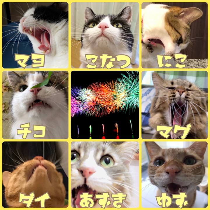 D7f9e86f 6bd6 4afc a3c4 18ecc71ce702 1564569131624